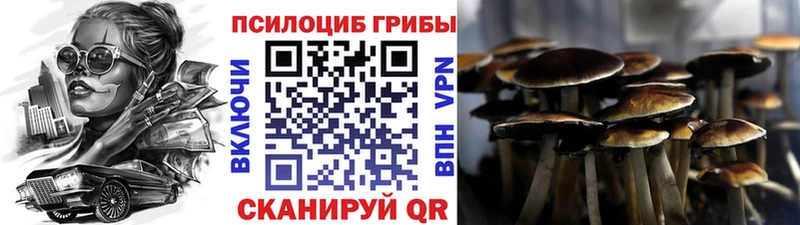 Купить  Вятские Поляны  Галлюциногенные грибы мицелий 